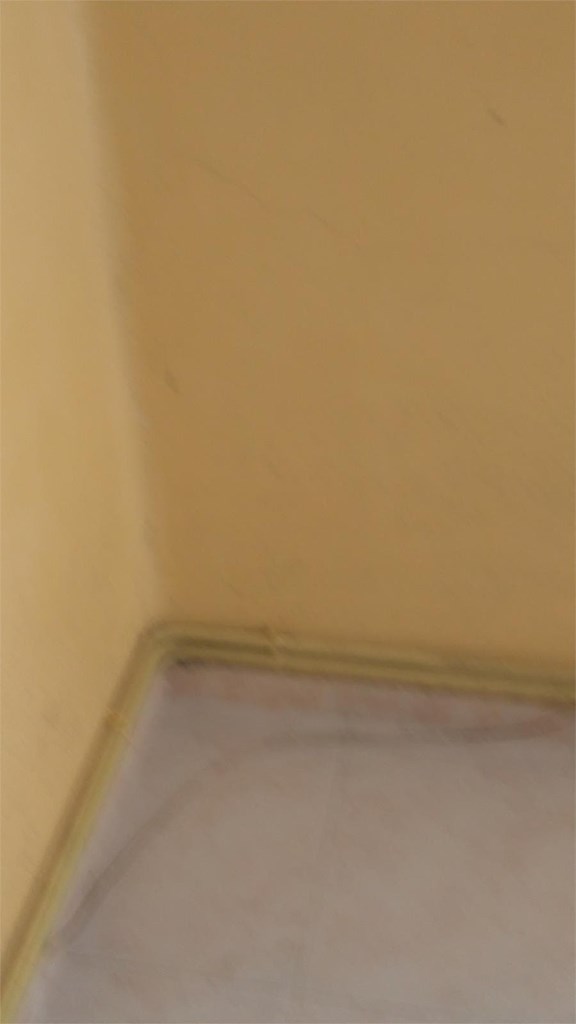 Foto 1 CL 39 _ Antes _ del Pintado de paredes y techos con Antimoho.